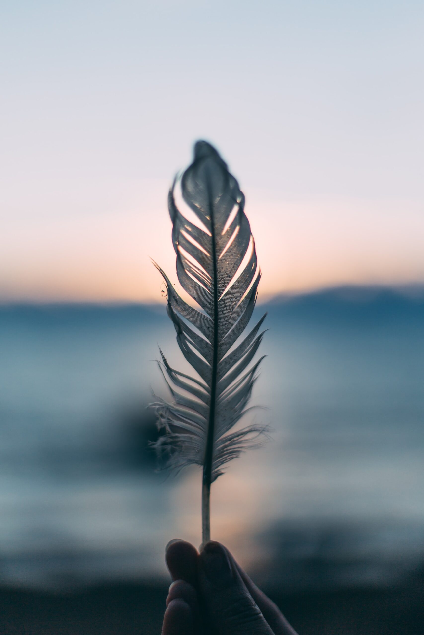 Feather_daiga-ellaby-h43VqtlnV7U-unsplash
